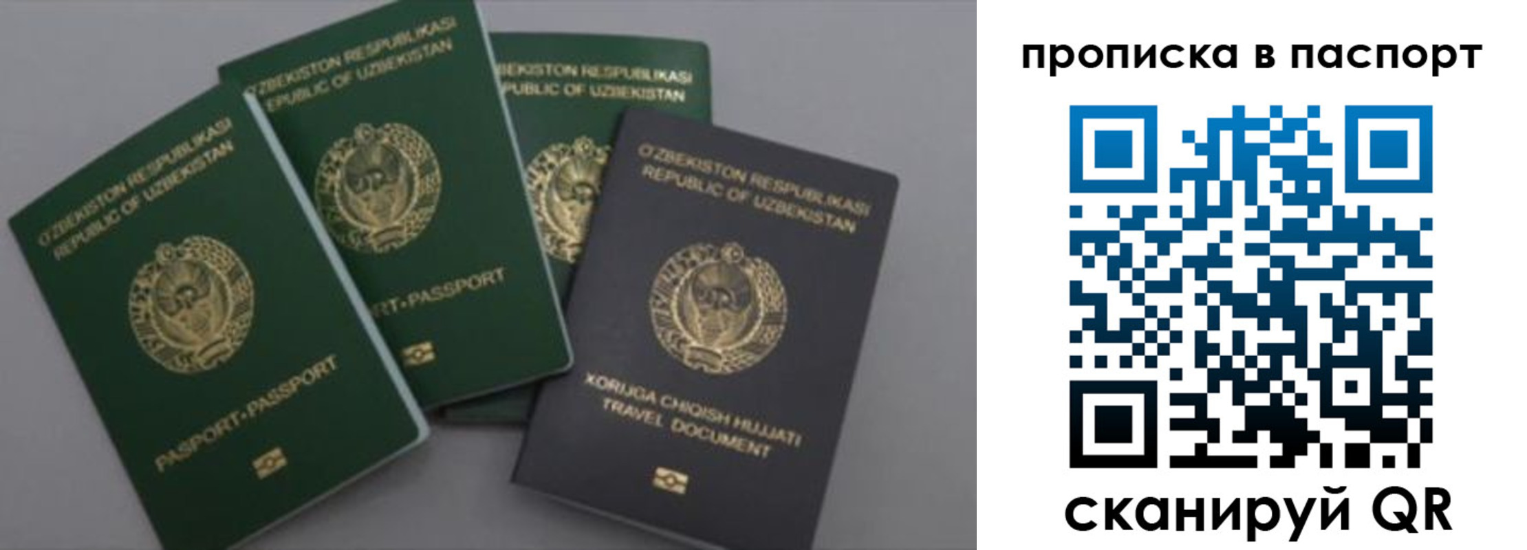 временная прописка в Новотроицке